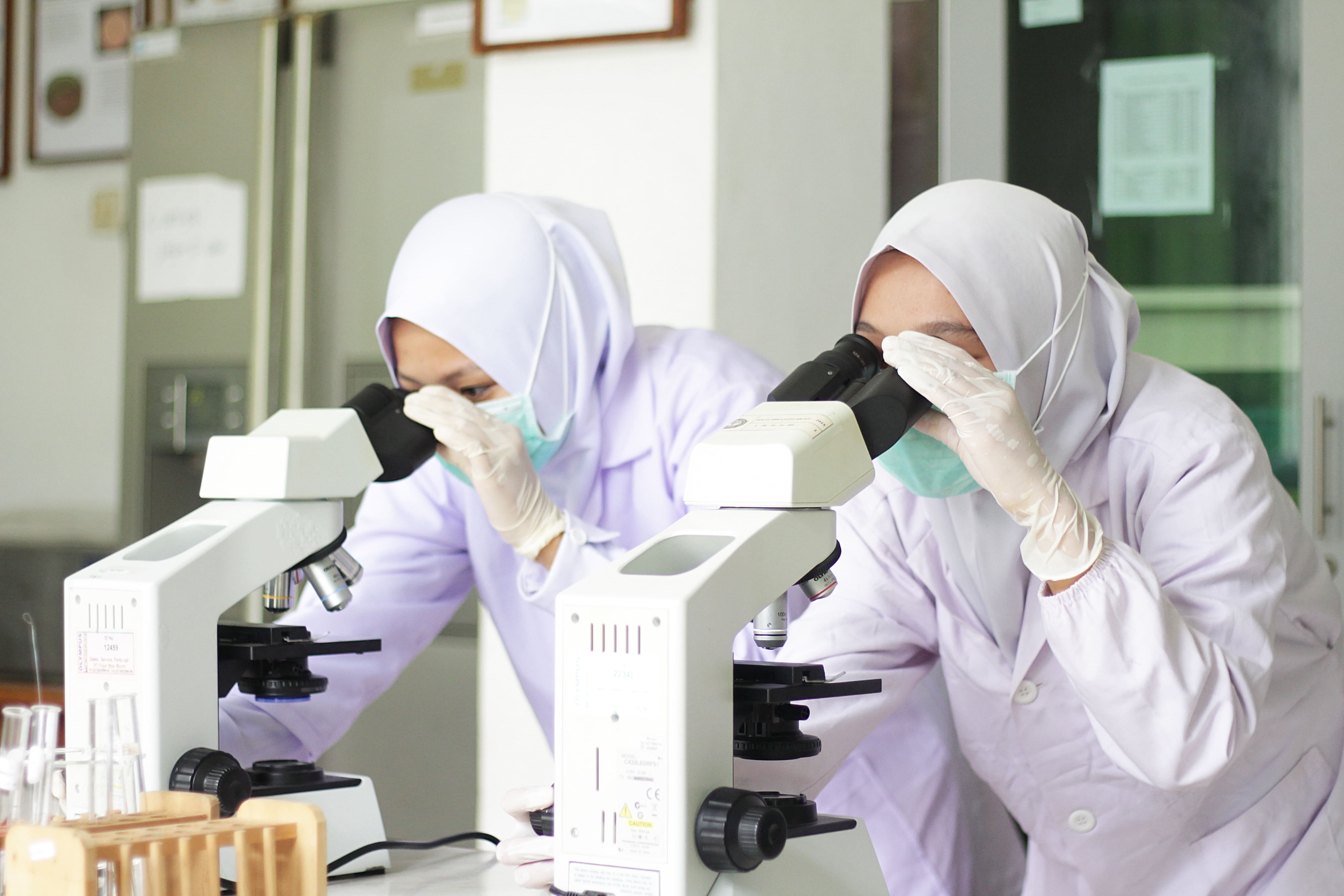 Program Studi D4 Teknologi Laboratorium Medis